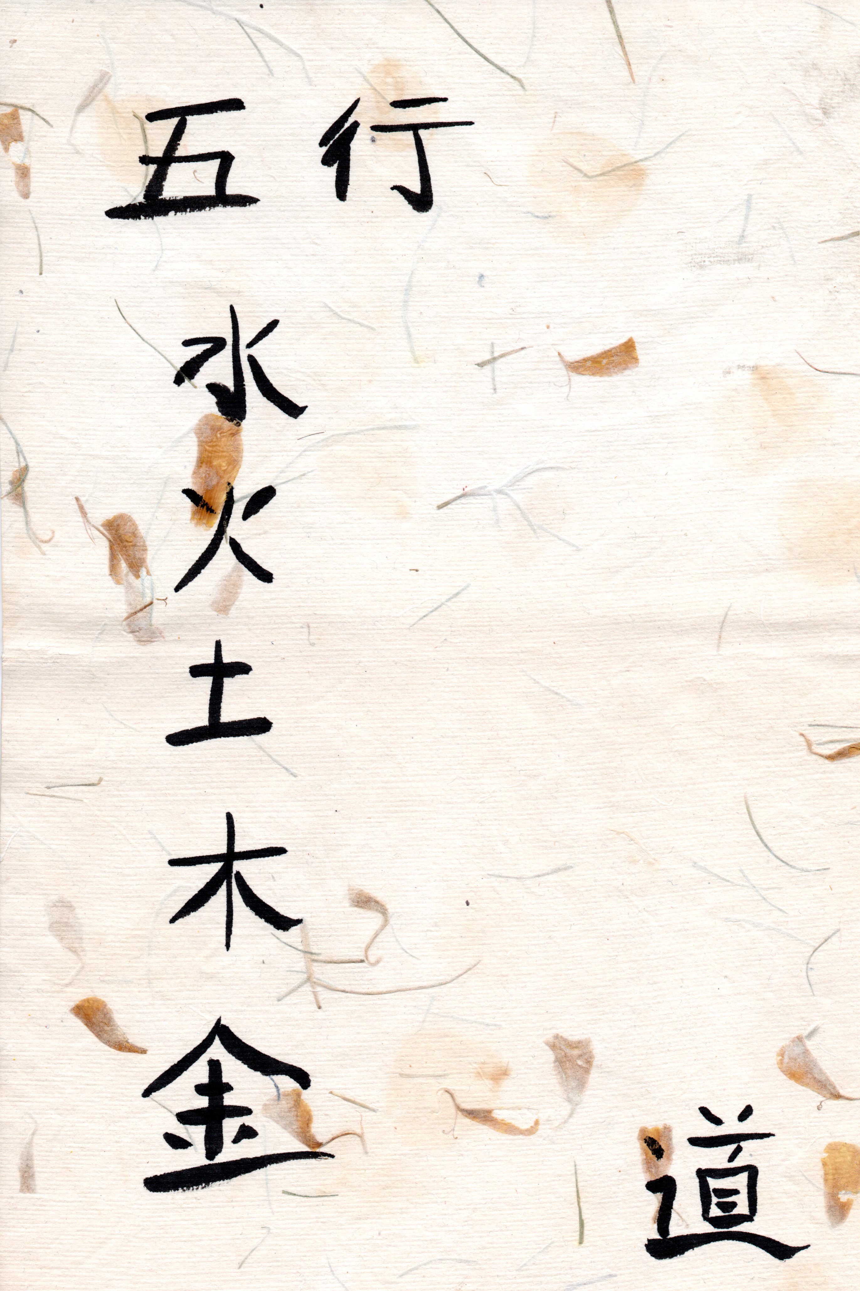 Wu Xing - 5 elementi pergamena scuola Tassi Mei Li Alessandra