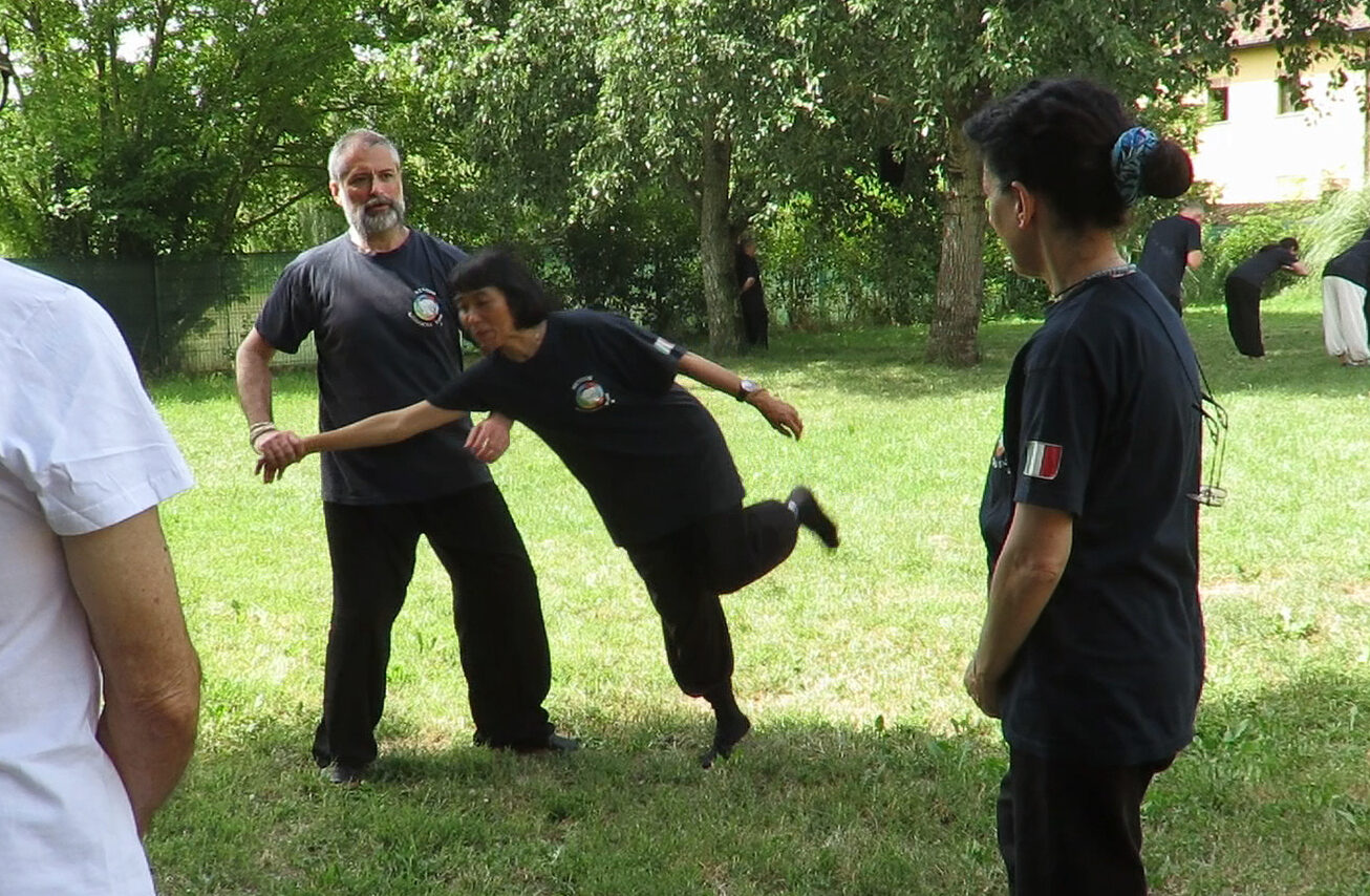 Taijiquan Arte Marziale Cinese Taijiquan Arte Marziale Cinese