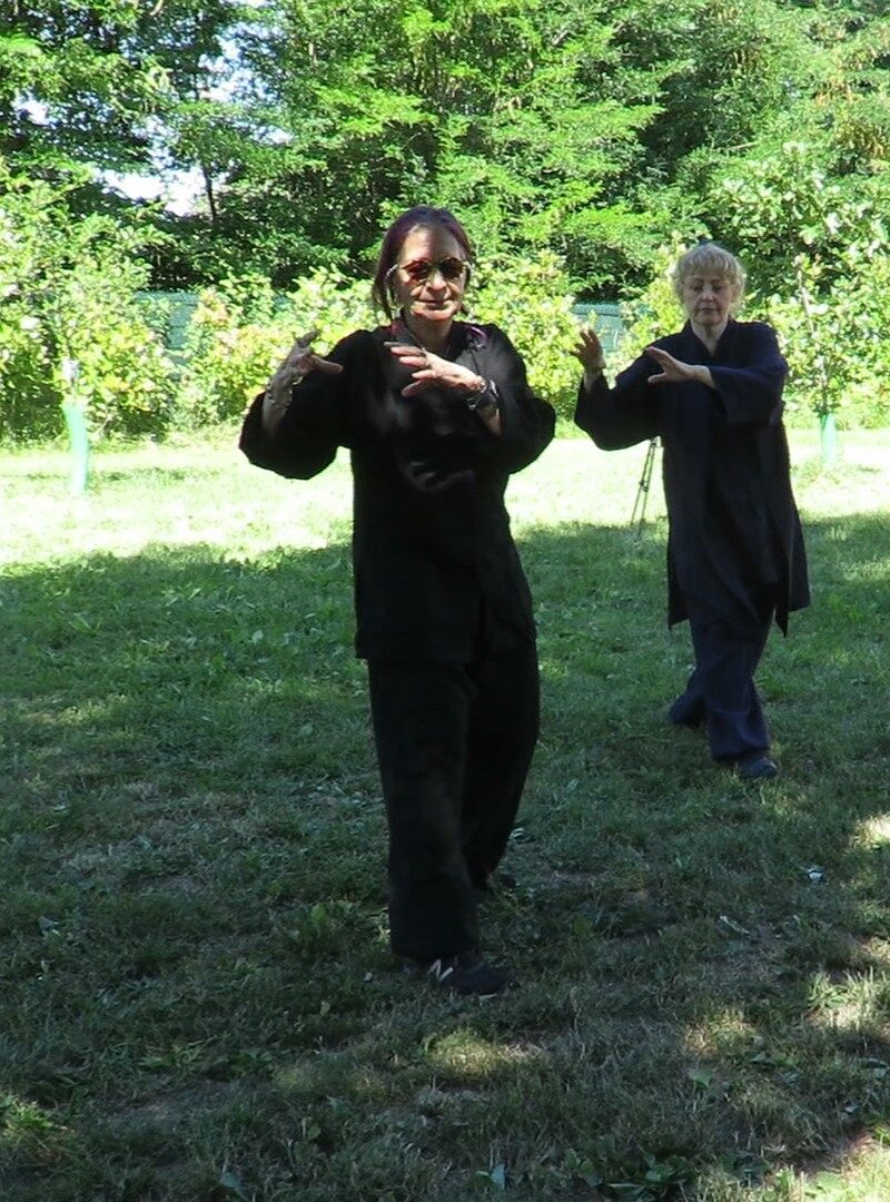 scuola di tai chi chuan e qi gong a milano Scuola di tai chi chuan e qi gong a Milano