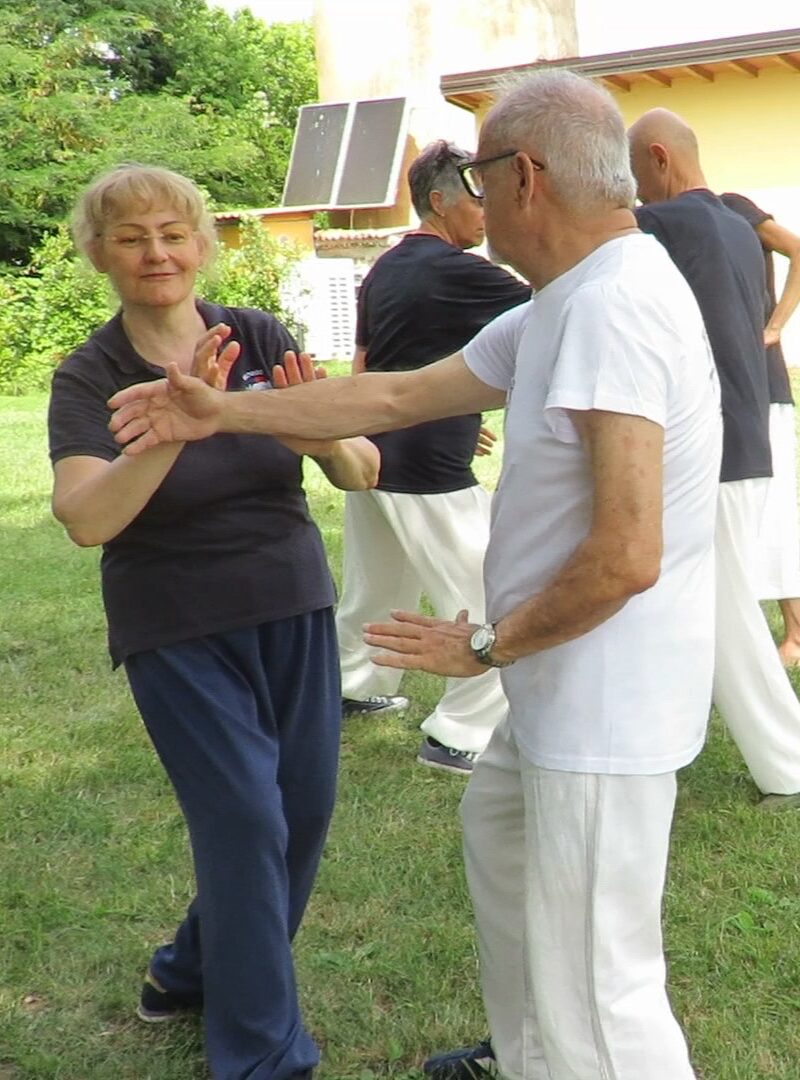 Scuola di Tai Chi Chuan e Qi Gong della maestra Tassi Mei Li Alessandra a Milano Scuola di Tai Chi Chuan e Qi Gong della maestra Tassi Mei Li Alessandra a Milano